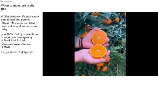 Top Reddit Video - Be AMAZED: When oranges are really ripe