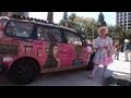 Symbolism and Messages of the Vain Van
