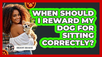When Should I Reward My Dog For Sitting Correctly? - Obedient Dog Guide