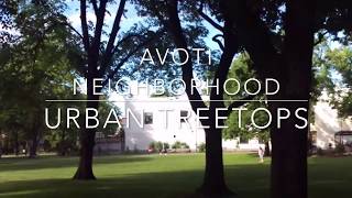 Avoti neighborhood