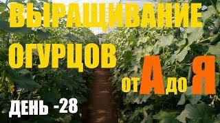 :   (2 )  28