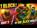 🔥 DAY 1 - One Block Survival Begins!