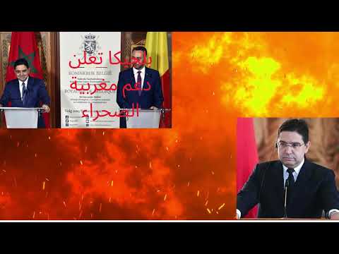 بلجيكا تعلن دعم مغربية الصحراء