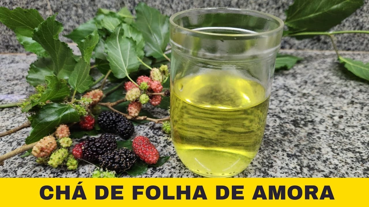 CHÁ DE FOLHA DE AMORA | ADEUS SINTOMAS DA MENOPAUSA E TPM - YouTube