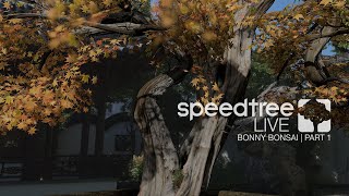 Bonny Bonsai | Part 1 @SpeedTreeMiddleware