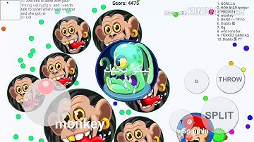 دعس بلوب لعيون اول فيديو في القناه