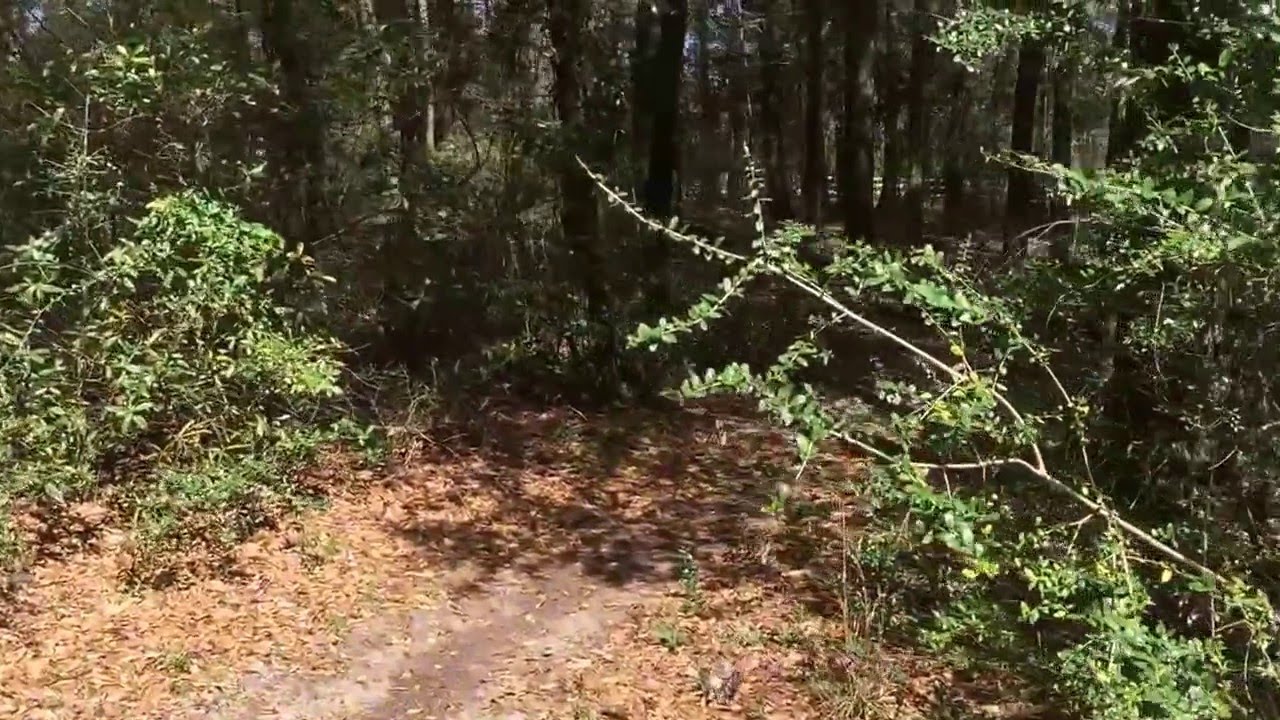 Britton Hill Florida's Highest Point YouTube