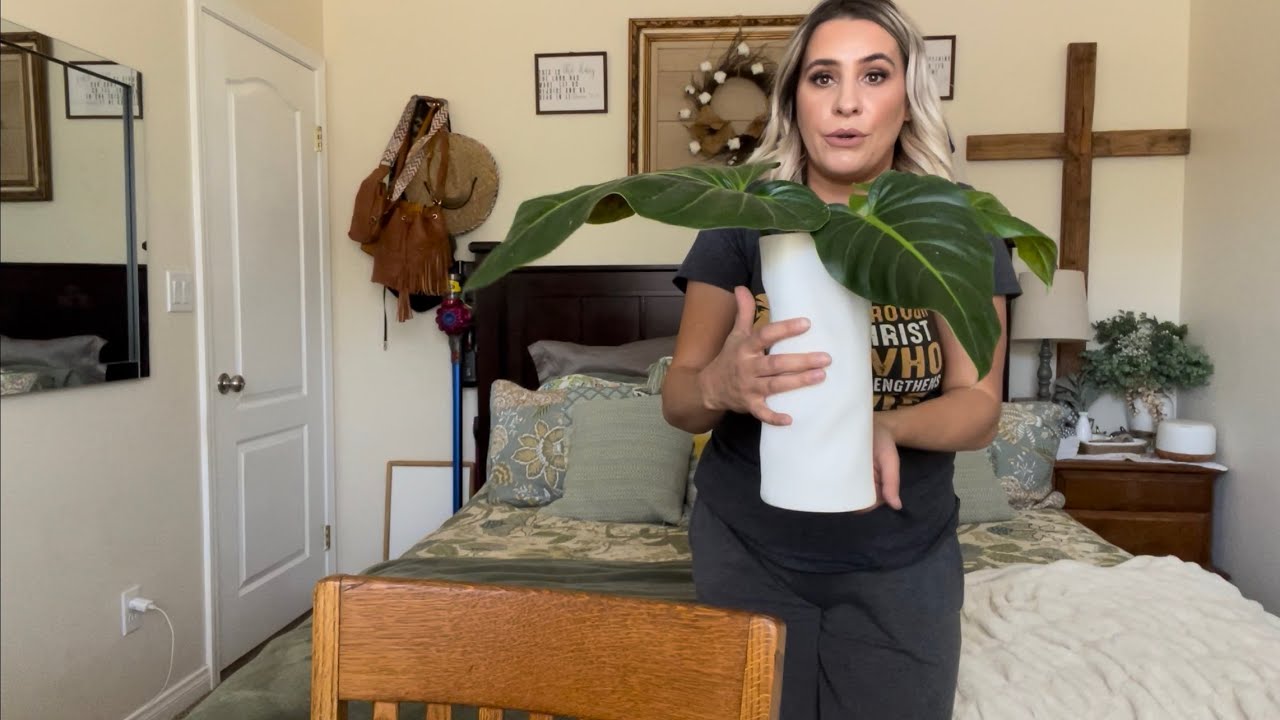 Abbittar Ceramic Vase Set of 2 Amazon Review YouTube