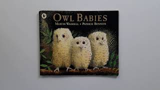 Kids Book Read Aloud : Owl Babies by Martin Waddell - YouTube