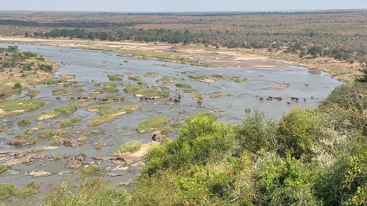 Elephants cross the Olifants River, what a great sightseeing
