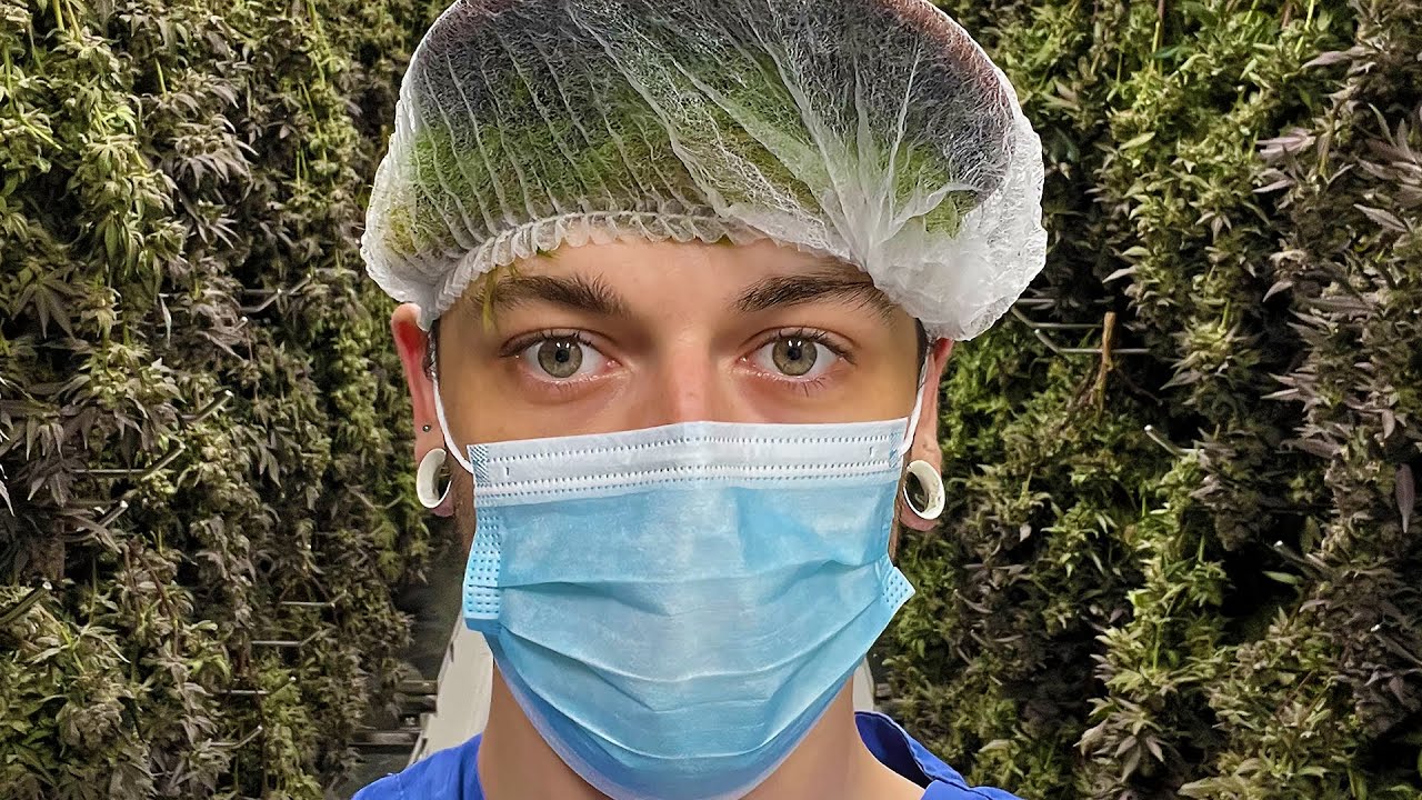 INSIDE A £60,000,000 MEDICAL GROW FACILITY (Part 1)