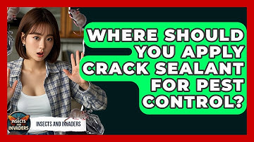 Where Should You Apply Crack Sealant For Pest Control? - Insects and Invaders