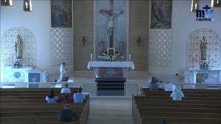 Wednesday of the Fourteenth Week in Ordinary Time