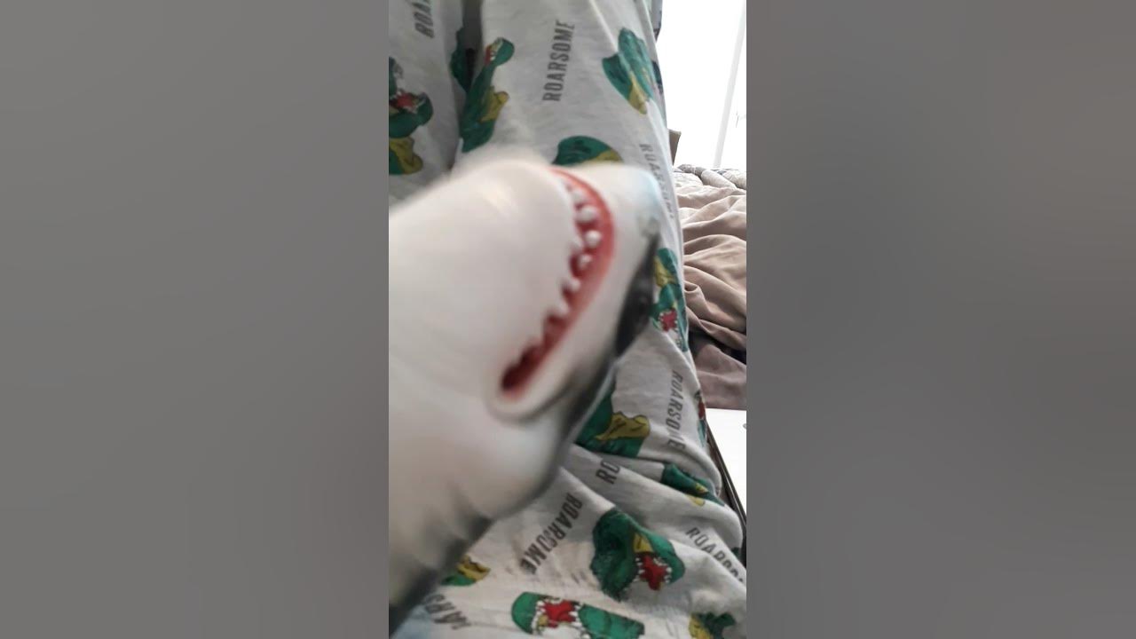 Shark Puppet sneezes - YouTube