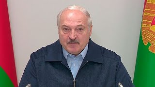 Лукашенко: если перед глазами зеленый цвет долларов, вы никогда не станете футболистами. Панорама