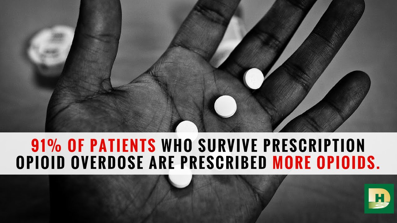 drug addiction movies 91% of Patients Who Survive Opioid Overdose Are Prescribed More Opioids