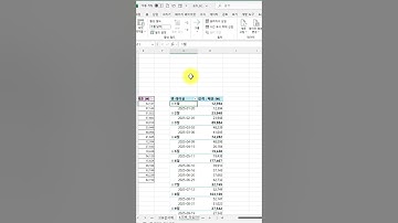 엑셀 30초 꿀팁) 피벗테이블 타임라인바 만들기 #엑셀 #excel #강의 #생산성 #AI