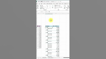 엑셀 30초 꿀팁) 피벗테이블 타임라인바 만들기 #엑셀 #excel #강의 #생산성 #AI