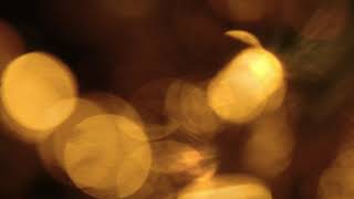 4k UltraHD Light Leak Overlay 36 | 4k OVERLAYS LIGHT LEAKS