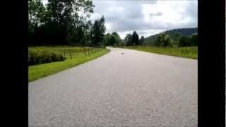 INSANE 1/16 E-REVO!!! 69mph!