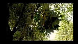 the Dwarves tagalog dub