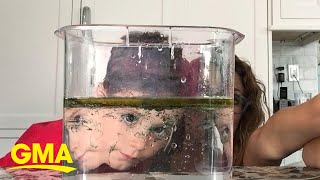 This might be the perfect at-home science experiment for kids l GMA Digital