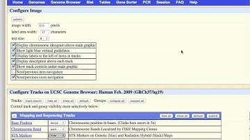 Video Tip of the Week: TFBS using Mapper