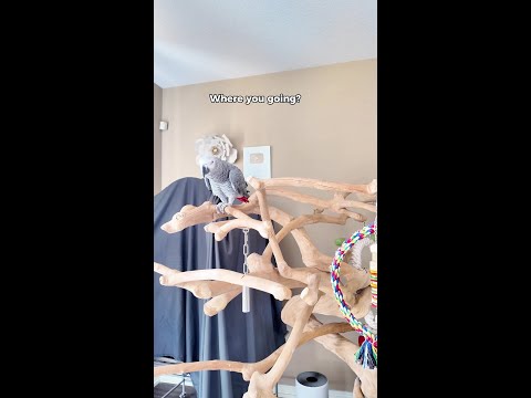 He finds his bodily functions funny...