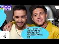 Niall Horan felt like he 'had to' rewrite song after Liam Payne died