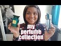 MY PERFUME COLLECTION | DESIGNER FRAGRANCES (Updated)