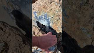 HUUUUUGE blue agate!!! #youtubeshorts #shorts #viral #video #viralshorts #rockhounding #gorgeous