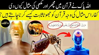 Why Did Allah Create Mosquitoes The Answer Will Shock You |  "Miracle of the Quran" | Sohail TV