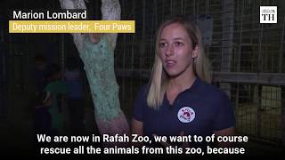 Over 40 Zoo Animals Evacuated From Gaza