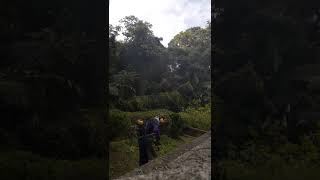2022101903 己亥年掃墓服務全記錄 01-35 2022-293-01 『服務區域:南桃/新竹/北苗』 『請從割草機發動後,聲音拉高開始觀看』 2023癸卯年清明節掃墓開始接受預約
