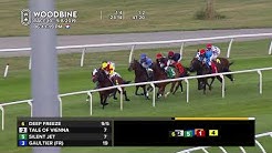 Woodbine: September 8, 2019 - Race 10