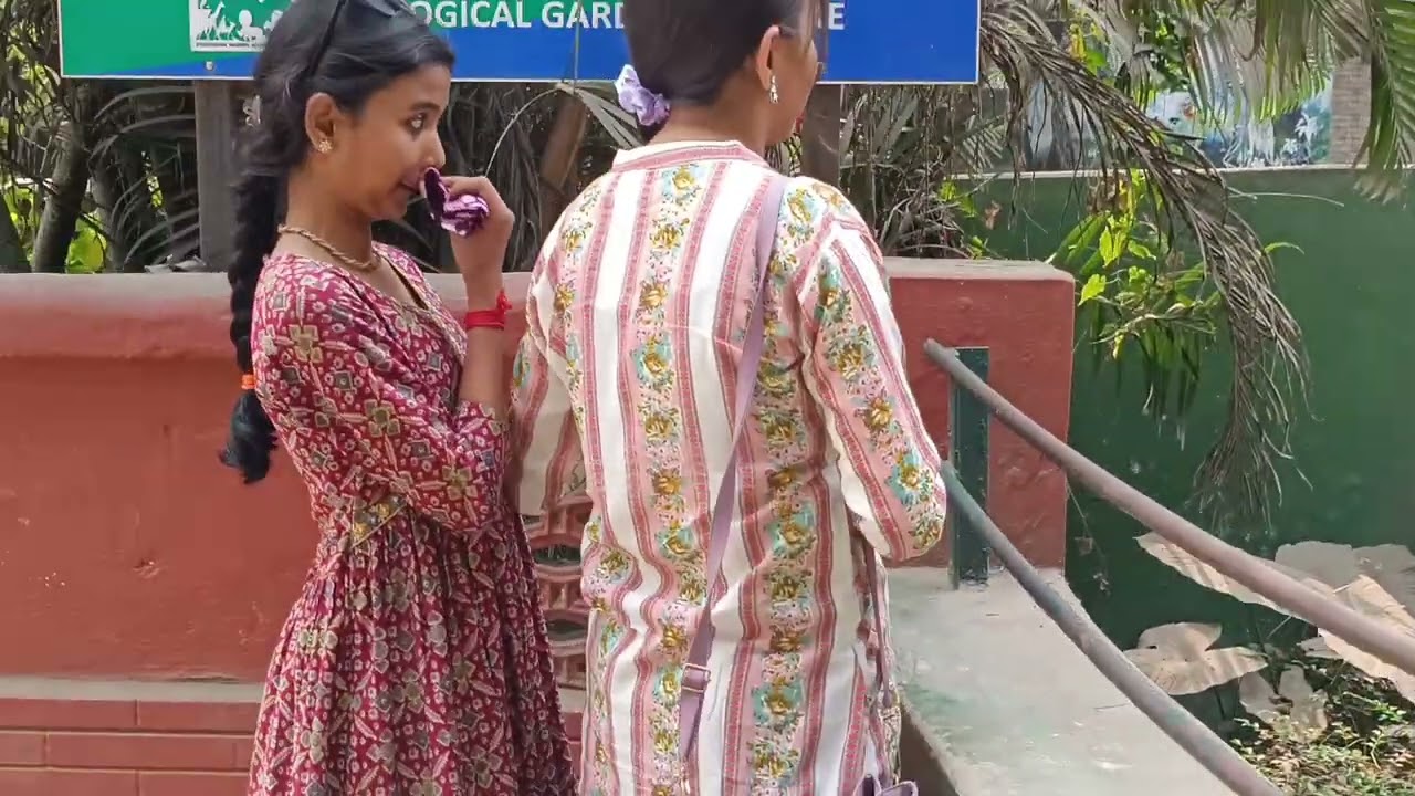 Alipur Zoo 🐘🐼🐯 