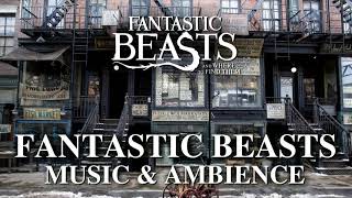 Fantastic Beasts Ambient Music - Relaxing, Studying, Sleeping