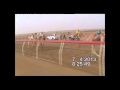 مركاض سيح صبره 7 04 2013 شارة مبارك بن شيبان المنصوري الشوط 12 