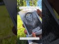 Tarot by the Trees No. 13 Pt. 2 - King of Cups + Strength (4/20/26)