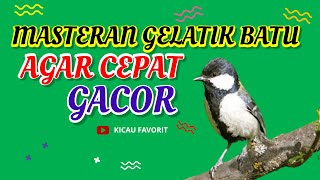 Download lagu Blur 56 Masteran Burung Gelatik Batu Agar Cepat Gacor - Kicau Favorit