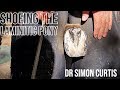 Shoeing a Laminitic Pony - Farriery Tutorial for Treating Founder in Ponies