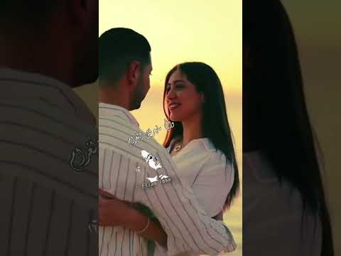 الحب حياة المغرمين جورج وسوف