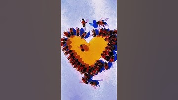 وهو على كل شيء وكيل#تلاوة_هادئة#معاذ_صيام #قرآن #سورة_الإسراء #ليلة_القدر #quran