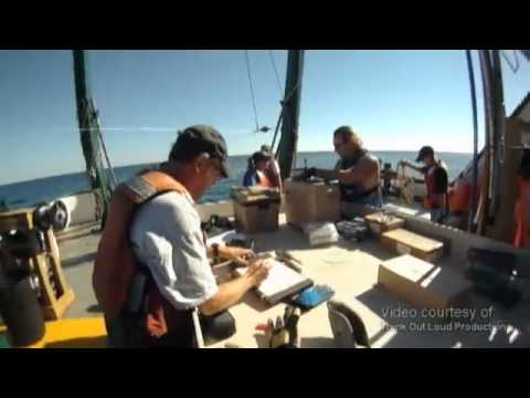 grassroots international Stories from the Gulf: Shockwaves through the Gulf