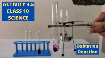 ACTIVITY 4.5 ll CLASS 10 ll SCIENCE ll CHAPTER 4 ll NCERT ll ANKITA MAM