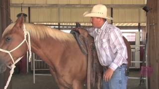 Proper Saddle Position