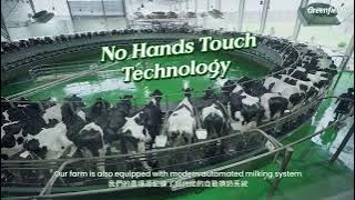 Greenfields Fresh Milk - Our Farm, Your Glass