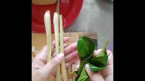 Thumbnail of bumbu ungkep ayam yang gampang cuma b.putih,laos,jahe,sereh,salam dan kunyit.