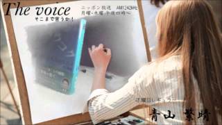 20120405　青山繁晴　ザ・ボイス　そこまで言うか！ 修正版