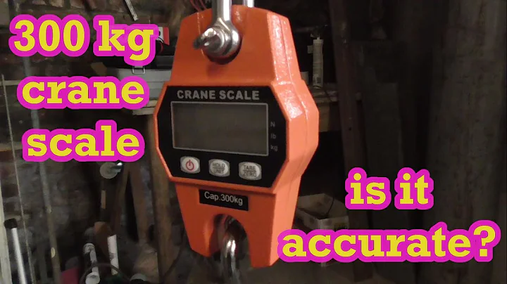 300 kg Digital Crane Scale - Review & Test